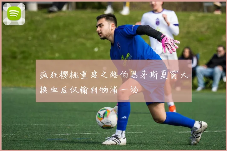 疯狂樱桃重建之路伯恩茅斯夏窗大换血后仅输利物浦一场
