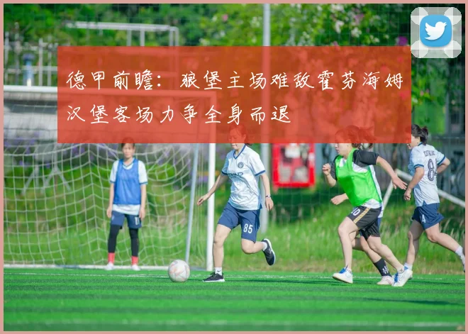 德甲前瞻：狼堡主场难敌霍芬海姆汉堡客场力争全身而退