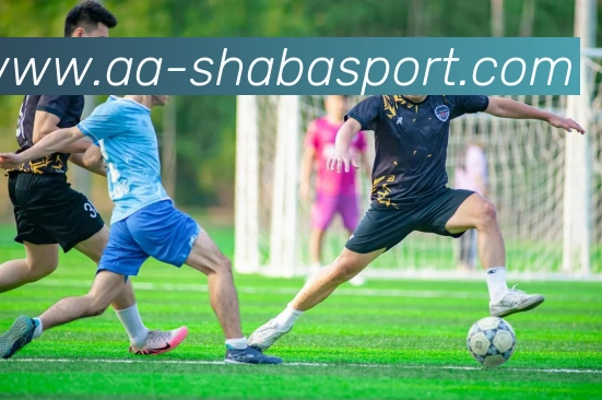 沙巴足球官网平台生态图