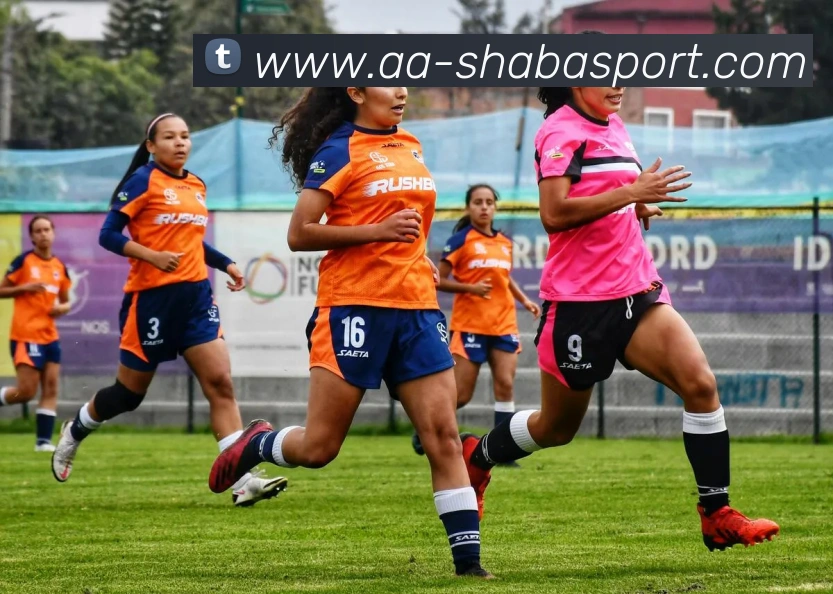 沙巴足球官网APP 封面图