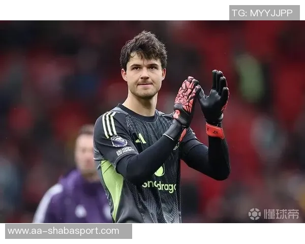 费迪南德称赞拉门斯门将表现提升后防稳定性球队受益明显 费迪南德称赞拉门斯门将表现提升后防稳定性球队受益明显